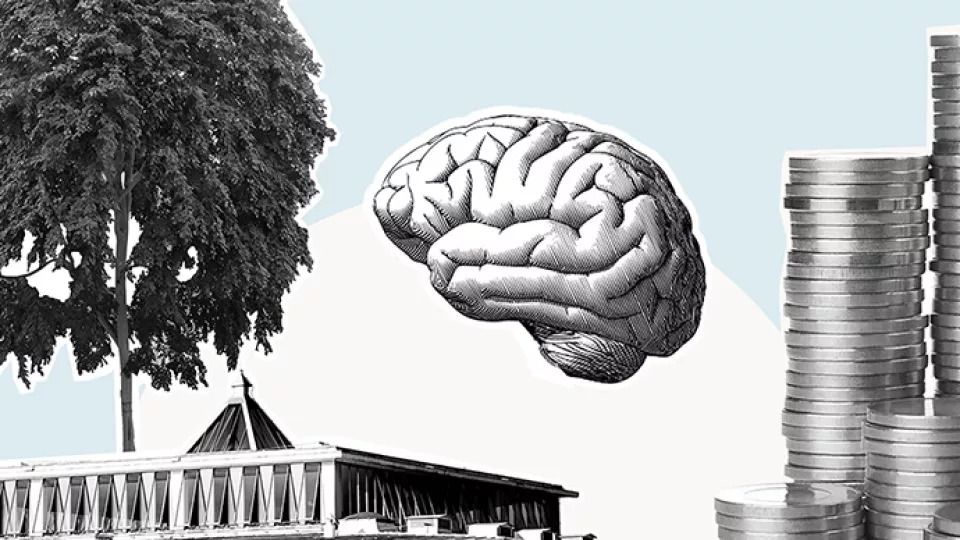 Collage with a tree, the roof top of LUSEM, a brain and a stack of coins