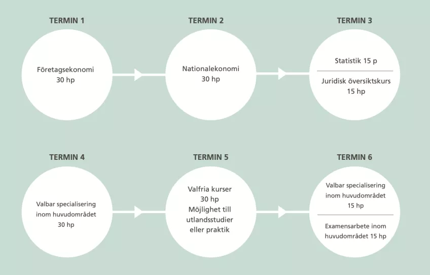 Programstruktur, översikt. Illustration.